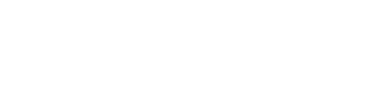Aliah Bellydance Fashion